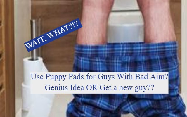 Woman Puts Puppy Training Pads in Bathroom for Boyfriend With Bad Aim