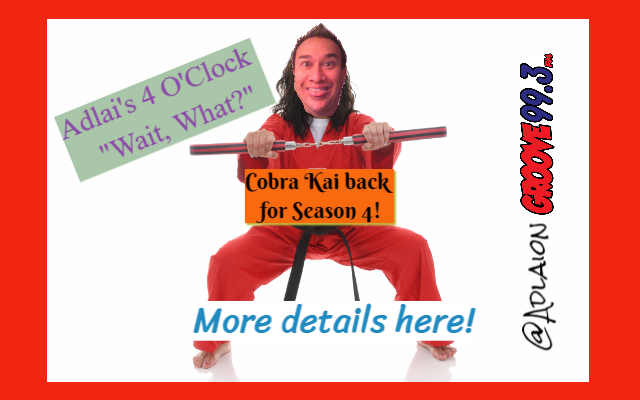 Adlai’s “Wait, What?!” – Cobra Kai Season 4 Announced!