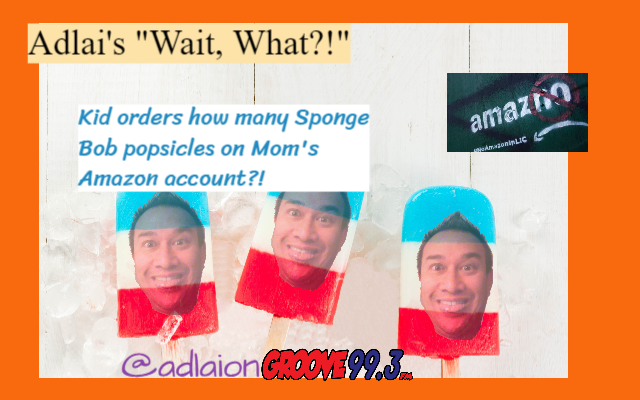 Adlai’s “Wait, What?!” – Kid Orders ALOT of Popsicles on Mom’s Amazon Account